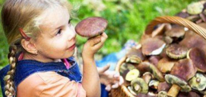 С какого возраста давать детям грибы