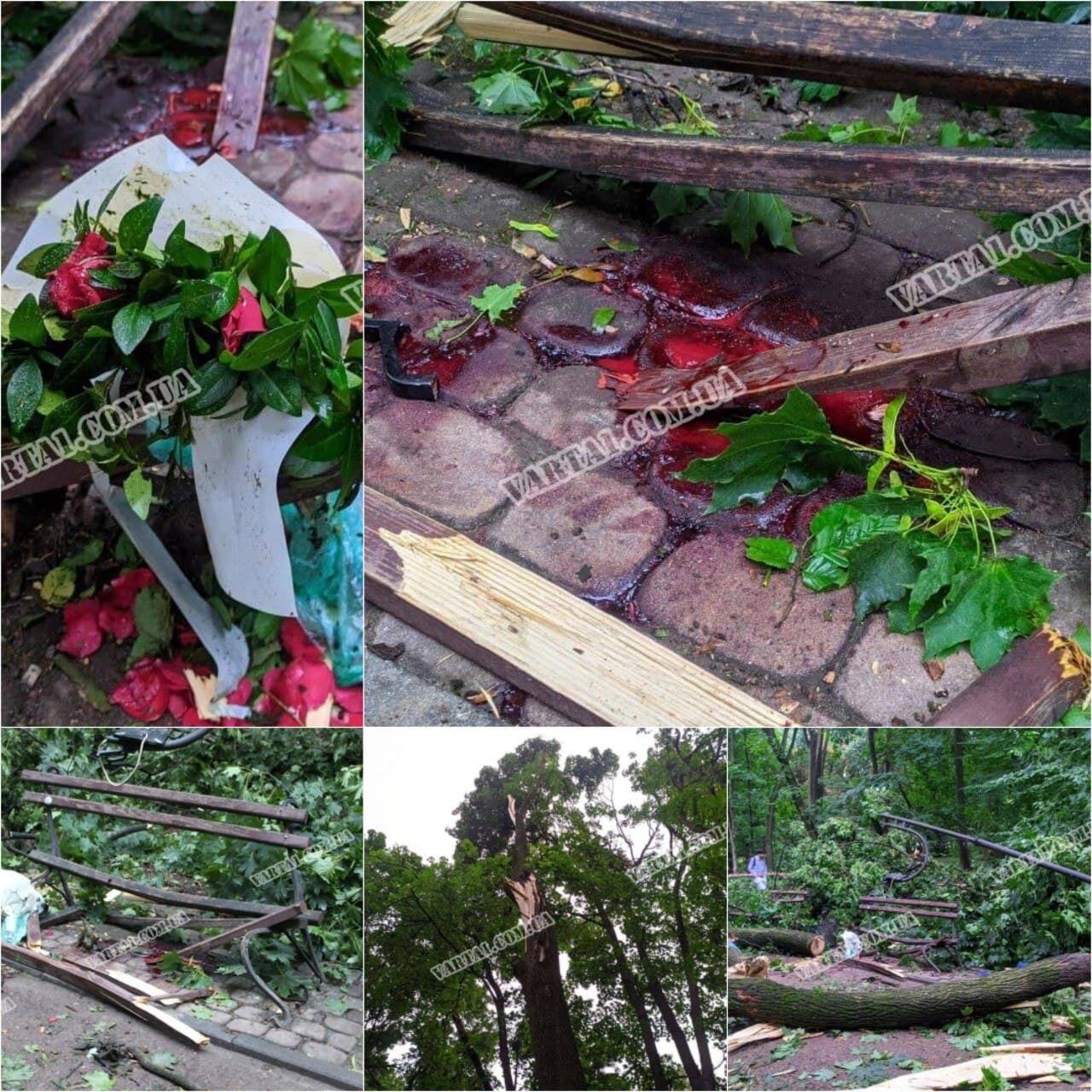 У парку у Львові на пару впало дерево.